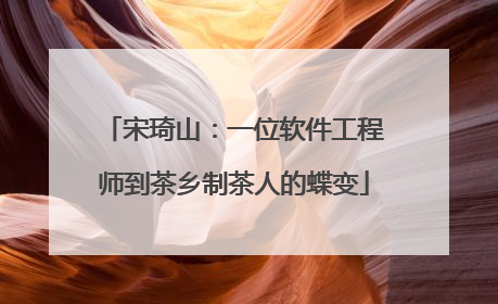 宋琦山：一位软件工程师到茶乡制茶人的蝶变