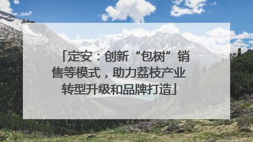 定安：创新“包树”销售等模式，助力荔枝产业转型升级和品牌打造