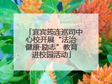 宜宾筠连巡司中心校开展“法治·健康·励志”教育进校园活动