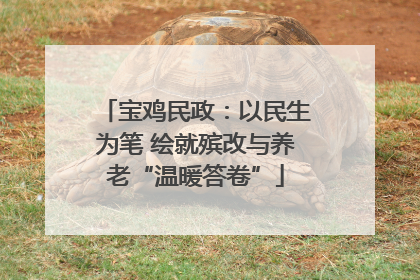 宝鸡民政：以民生为笔 绘就殡改与养老“温暖答卷”