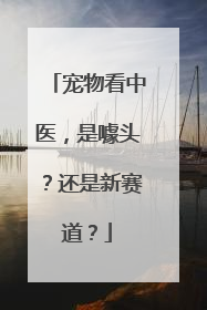 宠物看中医，是噱头？还是新赛道？