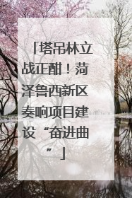 塔吊林立战正酣！菏泽鲁西新区奏响项目建设“奋进曲”