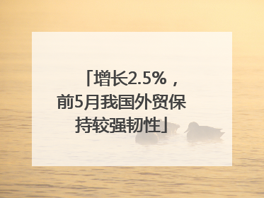 增长2.5%，前5月我国外贸保持较强韧性
