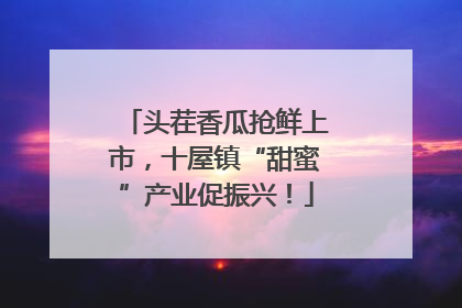 头茬香瓜抢鲜上市，十屋镇“甜蜜”产业促振兴！