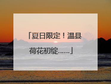夏日限定！温县荷花初绽……
