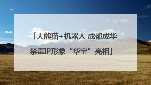 大熊猫+机器人 成都成华禁毒IP形象“华宝”亮相