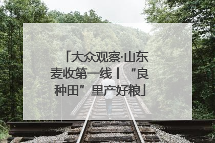 大众观察·山东麦收第一线丨“良种田”里产好粮
