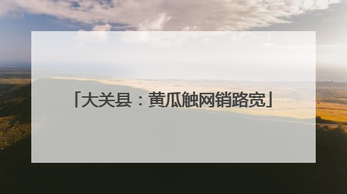 大关县：黄瓜触网销路宽