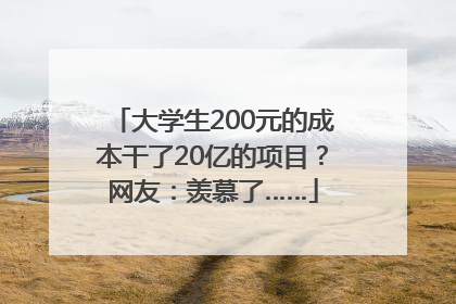 大学生200元的成本干了20亿的项目？网友：羡慕了……