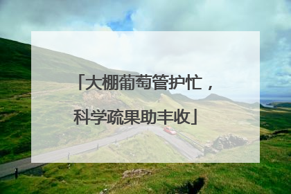 大棚葡萄管护忙，科学疏果助丰收