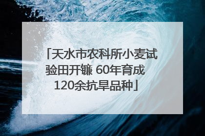 天水市农科所小麦试验田开镰 60年育成120余抗旱品种