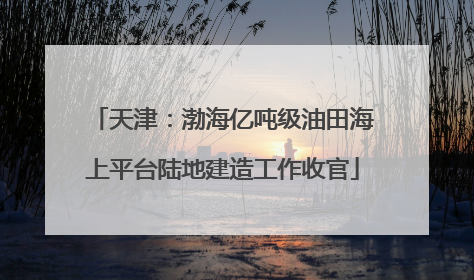 天津：渤海亿吨级油田海上平台陆地建造工作收官