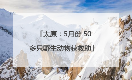 太原：5月份 50多只野生动物获救助