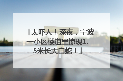 太吓人！深夜，宁波一小区楼道里惊现1.5米长大白蛇！