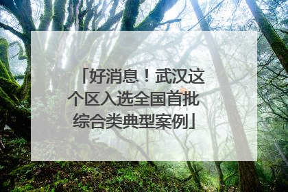 好消息！武汉这个区入选全国首批综合类典型案例