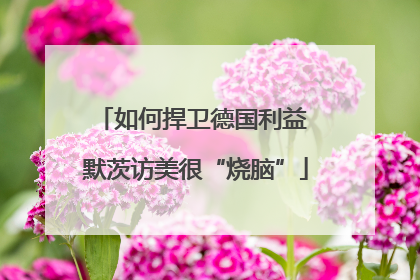 如何捍卫德国利益 默茨访美很“烧脑”
