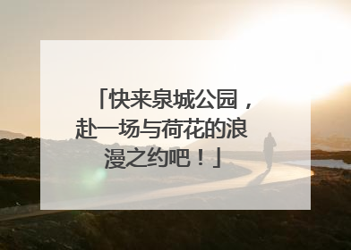快来泉城公园，赴一场与荷花的浪漫之约吧！
