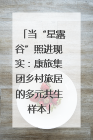 当“星露谷”照进现实：康旅集团乡村旅居的多元共生样本