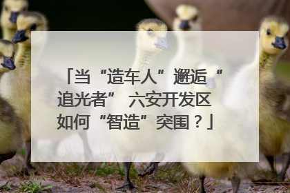 当“造车人”邂逅“追光者” 六安开发区如何“智造”突围？