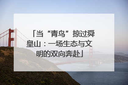 当“青鸟”掠过舜皇山：一场生态与文明的双向奔赴