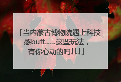 当内蒙古博物院遇上科技感buff……这些玩法，有你心动的吗↓↓↓