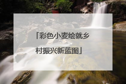 彩色小麦绘就乡村振兴新蓝图
