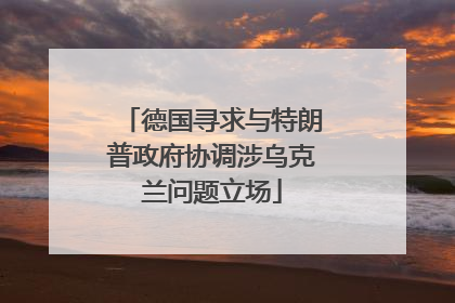 德国寻求与特朗普政府协调涉乌克兰问题立场