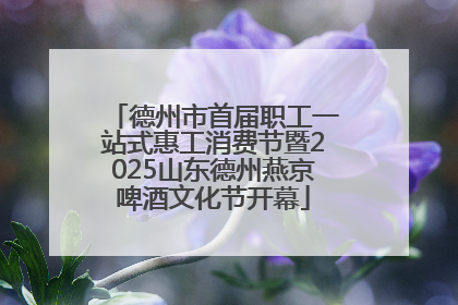 德州市首届职工一站式惠工消费节暨2025山东德州燕京啤酒文化节开幕