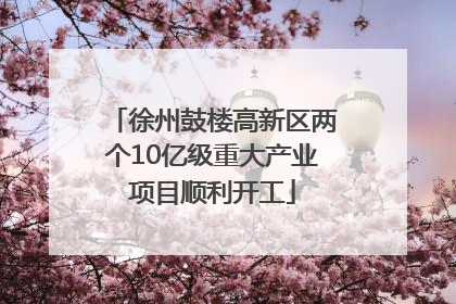 徐州鼓楼高新区两个10亿级重大产业项目顺利开工