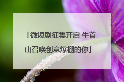 微短剧征集开启 牛首山召唤创意爆棚的你