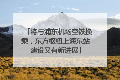 将与浦东机场空铁换乘，东方枢纽上海东站建设又有新进展