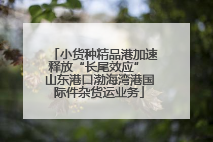 小货种精品港加速释放“长尾效应” 山东港口渤海湾港国际件杂货运业务
