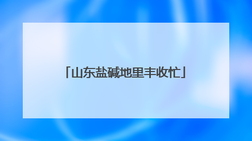 山东盐碱地里丰收忙