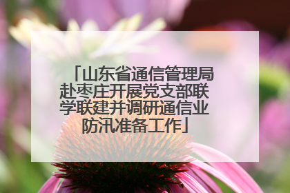 山东省通信管理局赴枣庄开展党支部联学联建并调研通信业防汛准备工作