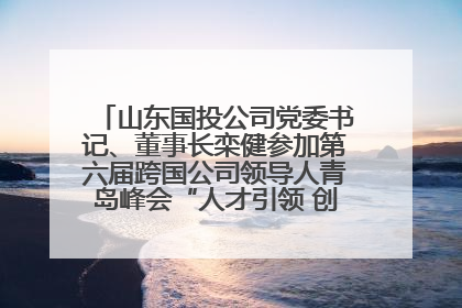 山东国投公司党委书记、董事长栾健参加第六届跨国公司领导人青岛峰会“人才引领 创新驱动”人力资源高质量发展对话会