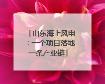 山东海上风电：一个项目落地一条产业链