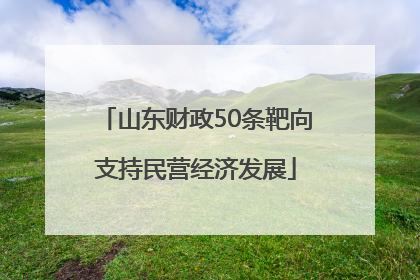山东财政50条靶向支持民营经济发展