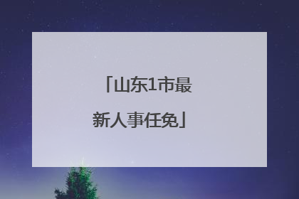 山东1市最新人事任免