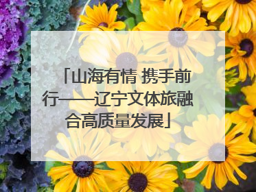 山海有情 携手前行——辽宁文体旅融合高质量发展