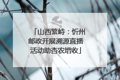 山西繁峙：忻州邮政开展溯源直播活动助杏农增收