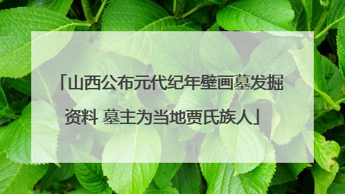 山西公布元代纪年壁画墓发掘资料 墓主为当地贾氏族人