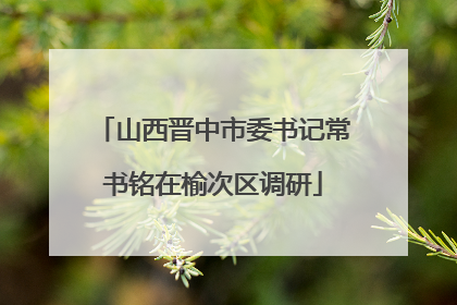 山西晋中市委书记常书铭在榆次区调研