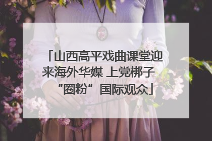 山西高平戏曲课堂迎来海外华媒 上党梆子“圈粉”国际观众