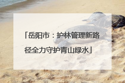 岳阳市：护林管理新路径全力守护青山绿水