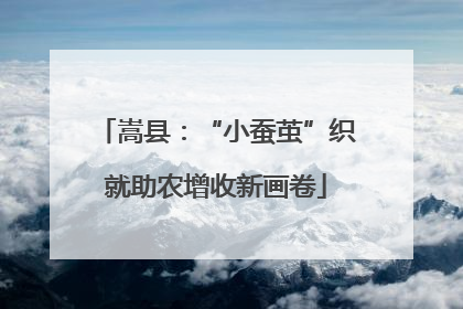 嵩县：“小蚕茧”织就助农增收新画卷