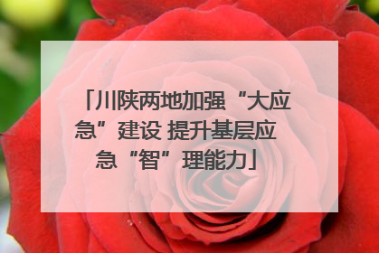 川陕两地加强“大应急”建设 提升基层应急“智”理能力