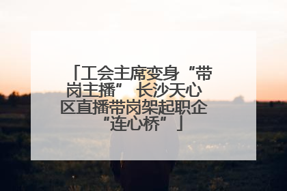 工会主席变身“带岗主播” 长沙天心区直播带岗架起职企“连心桥”