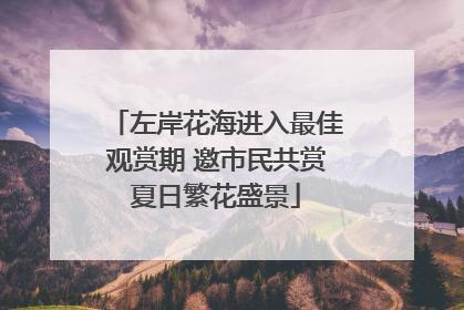 左岸花海进入最佳观赏期 邀市民共赏夏日繁花盛景