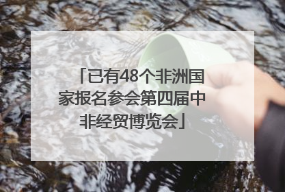 已有48个非洲国家报名参会第四届中非经贸博览会