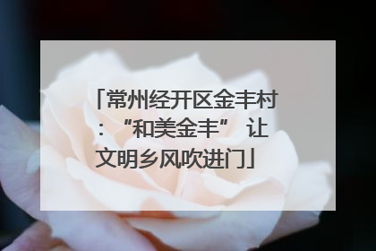 常州经开区金丰村：“和美金丰” 让文明乡风吹进门